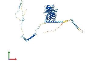 AlphaFold protein structure predicition of Mouse Recombinant Dnai2 Protein, UniprotID A2AC93