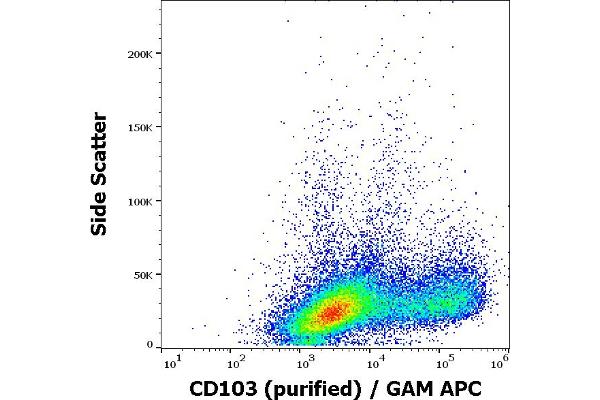 CD103 anticorps