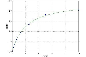 N-Myristoyltransferase 1 (NMT1) ELISA Kit