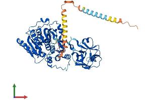 AlphaFold protein structure predicition of Human Recombinant GALNT18 Protein, UniprotID Q6P9A2