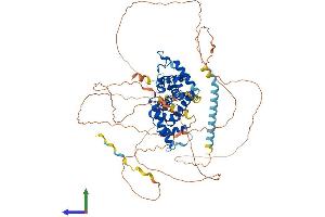 AlphaFold protein structure predicition of Human Recombinant CCNT1 Protein, UniprotID O60563