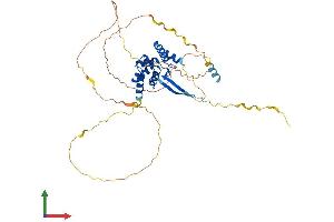 AlphaFold protein structure predicition of Mouse Recombinant Arid3c Protein, UniprotID A6PWV5