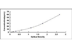 Typical standard curve