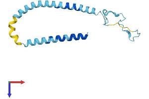 Synuclein, alpha (SNCA) (AA 1-140) protein (His tag)