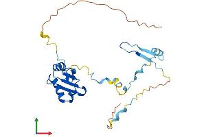 AlphaFold protein structure predicition of Mouse Recombinant Rcan3 Protein, UniprotID Q9JKK0