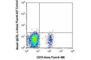 Flow Cytometry (FACS) image for anti-Chemokine (C-C Motif) Receptor 6 (CCR6) antibody (Alexa Fluor 647) (ABIN2657669) (CCR6 anticorps  (Alexa Fluor 647))