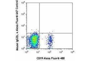 Flow Cytometry (FACS) image for anti-Chemokine (C-C Motif) Receptor 6 (CCR6) antibody (Alexa Fluor 647) (ABIN2657669) (CCR6 anticorps  (Alexa Fluor 647))