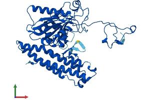 AlphaFold protein structure predicition of Human Recombinant FOLH1B Protein, UniprotID Q9HBA9