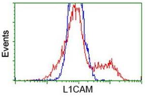Image no. 2 for anti-L1 Cell Adhesion Molecule (L1CAM) antibody (ABIN1499085) (L1CAM anticorps)