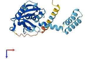 AlphaFold protein structure predicition of Human Recombinant LRAT Protein, UniprotID O95237