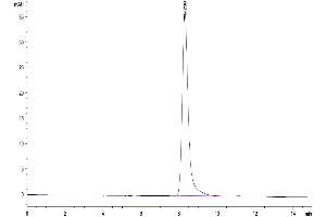 The purity of Mouse EphB3 is greater than 95 % as determined by SEC-HPLC.