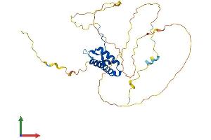 AlphaFold protein structure predicition of Mouse Recombinant Sox12 Protein, UniprotID Q04890