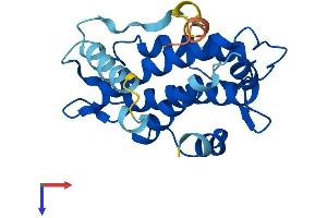 AlphaFold protein structure predicition of Human Recombinant MOB3A Protein, UniprotID Q96BX8