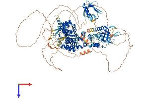 AlphaFold protein structure predicition of Human Recombinant PLEKHM1 Protein, UniprotID Q9Y4G2