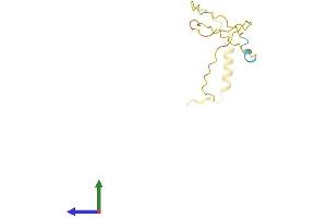 AlphaFold protein structure predicition of Human Recombinant PPDPF Protein, UniprotID Q9H3Y8