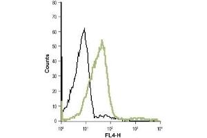 Cell surface detection of LTB4R in live intact human T cell leukemia (Jurkat) cell line: (black line) Control cells + goat-anti-rabbit-Cy5.