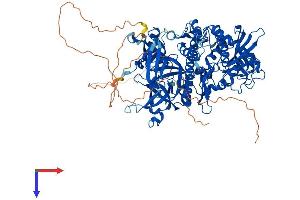 AlphaFold protein structure predicition of Human Recombinant DIS3L2 Protein, UniprotID Q8IYB7