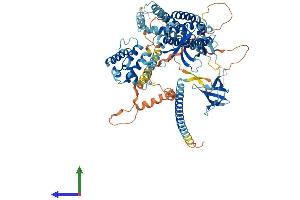 AlphaFold protein structure predicition of Human Recombinant ARHGEF6 Protein, UniprotID Q15052