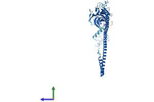 AlphaFold protein structure predicition of Human Recombinant TRIM72 Protein, UniprotID Q6ZMU5