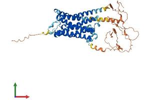AlphaFold protein structure predicition of Human Recombinant ADRA1A Protein, UniprotID P35348