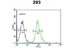 TPH2 Antibody (Center) flow cytometric analysis of 293 cells (right histogram) compared to a negative control cell (left histogram). (Tryptophan Hydroxylase 2 anticorps  (Middle Region))