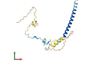 AlphaFold protein structure predicition of Mouse Recombinant Mbd3l1 Protein, UniprotID Q9D9H3