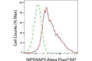Flow cytometric analysis of NIPSNAP2 expression in HepG2 cells using NIPSNAP2 antibody (ABIN7798724), 1:2,000). (GBAS anticorps)