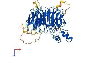 AlphaFold protein structure predicition of Human Recombinant WSB2 Protein, UniprotID Q9NYS7
