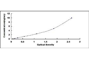Typical standard curve (MYH10 Kit ELISA)