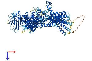 AlphaFold protein structure predicition of Human Recombinant PGAP1 Protein, UniprotID Q75T13