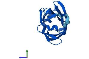 AlphaFold protein structure predicition of Mouse Recombinant Pde6d Protein, UniprotID O55057