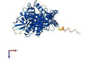 AlphaFold protein structure predicition of Mouse Recombinant Tuba1a Protein, UniprotID P68369