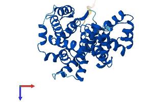 AlphaFold protein structure predicition of Human Recombinant GRTP1 Protein, UniprotID Q5TC63