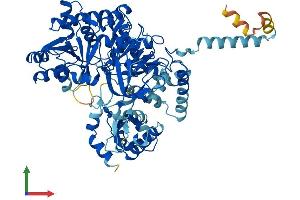 AlphaFold protein structure predicition of Human Recombinant ACSL6 Protein, UniprotID Q9UKU0