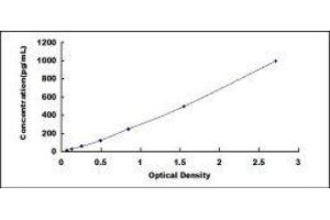 ELISA image for Growth Differentiation Factor 3 (GDF3) ELISA Kit (ABIN425322)
