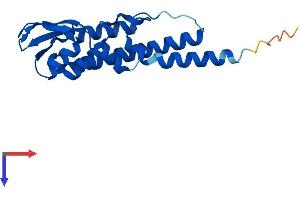 AlphaFold protein structure predicition of Human Recombinant GINS2 Protein, UniprotID Q9Y248