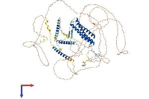 AlphaFold protein structure predicition of Human Recombinant DLGAP5 Protein, UniprotID Q15398