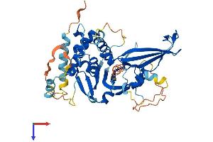 AlphaFold protein structure predicition of Human Recombinant USP27X Protein, UniprotID A6NNY8