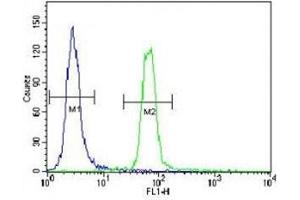 SUMO antibody flow cytometric analysis of HeLa cells (green) compared to a negative control (blue). (SUMO1 anticorps  (AA 55-86))