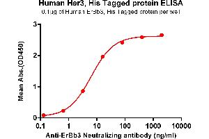 ELISA plate pre-coated by 1 μg/mL (100 μL/well) Human Her3, His tagged protein (ABIN6961140, ABIN7042309 and ABIN7042310) can bind Anti-ErBb3 Neutralizing antibody ABIN7093074 and ABIN7272604 in a linear range of 3.