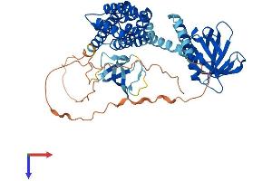 AlphaFold protein structure predicition of Human Recombinant ARHGEF9 Protein, UniprotID O43307
