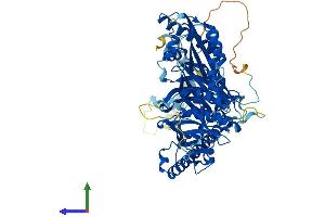 AlphaFold protein structure predicition of Human Recombinant CEP76 Protein, UniprotID Q8TAP6