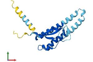 AlphaFold protein structure predicition of Mouse Recombinant Chic2 Protein, UniprotID Q9D9G3