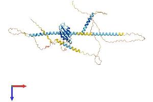 AlphaFold protein structure predicition of Human Recombinant SREK1 Protein, UniprotID Q8WXA9