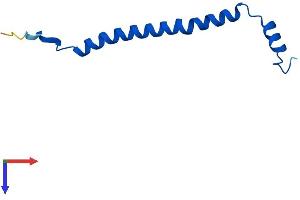 AlphaFold protein structure predicition of Mouse Recombinant Cox6c Protein, UniprotID Q9CPQ1