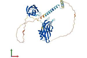 AlphaFold protein structure predicition of Mouse Recombinant Syt2 Protein, UniprotID P46097