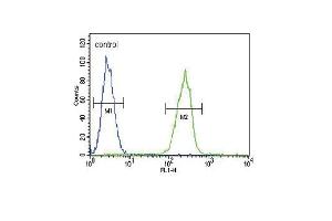 SERPINA7 Antibody (C-term) (ABIN390670 and ABIN2840965) flow cytometric analysis of MDA-M cells (right histogram) compared to a negative control cell (left histogram).