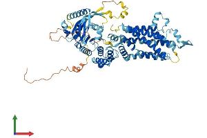 AlphaFold protein structure predicition of Human Recombinant ABCG8 Protein, UniprotID Q9H221