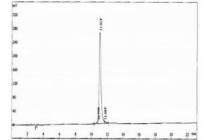 Image no. 2 for IgG2b peptide (Ovalbumin) (ABIN5666226) (IgG2b peptide (Ovalbumin))