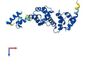 AlphaFold protein structure predicition of Mouse Recombinant Dcun1d1 Protein, UniprotID Q9QZ73